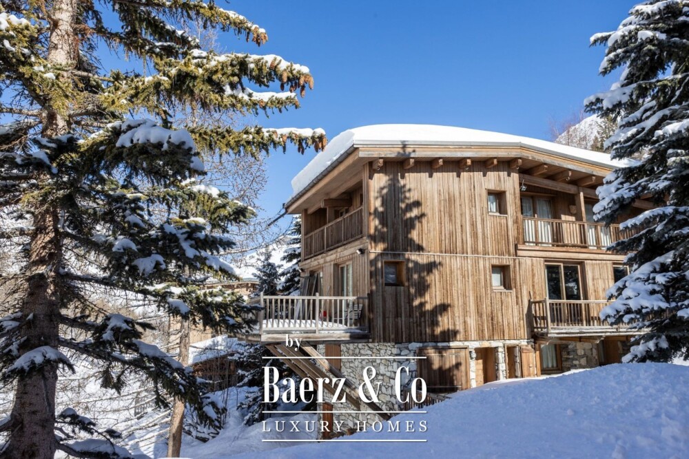 8 ROOM CHALET - MAGNIFICENT VIEW image