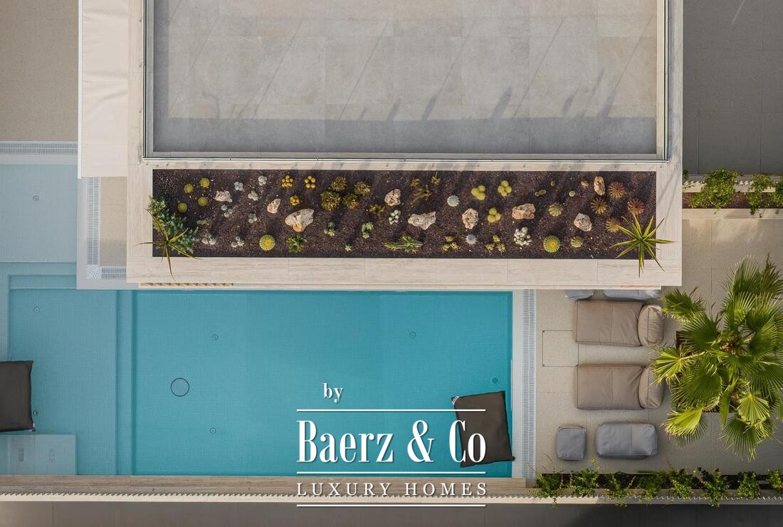 Okrug